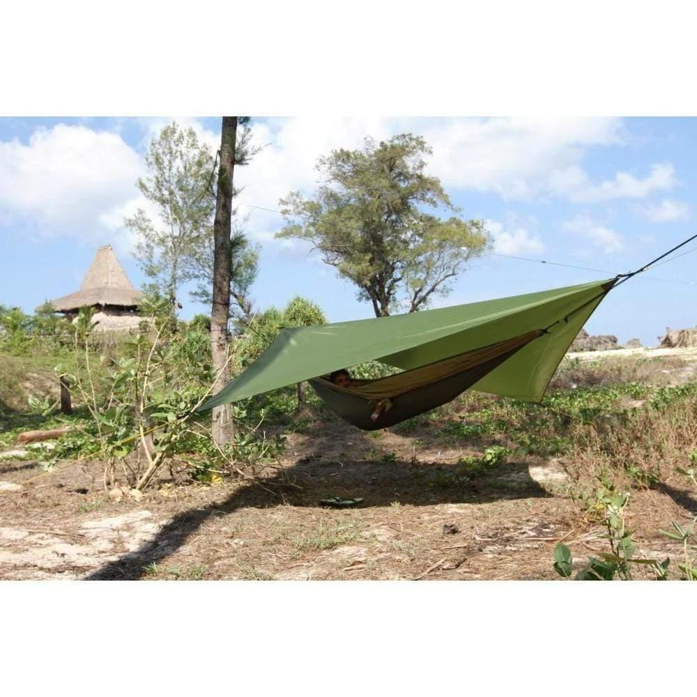 Tarp